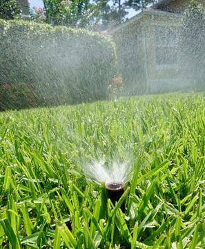 Sprinkler in lawn